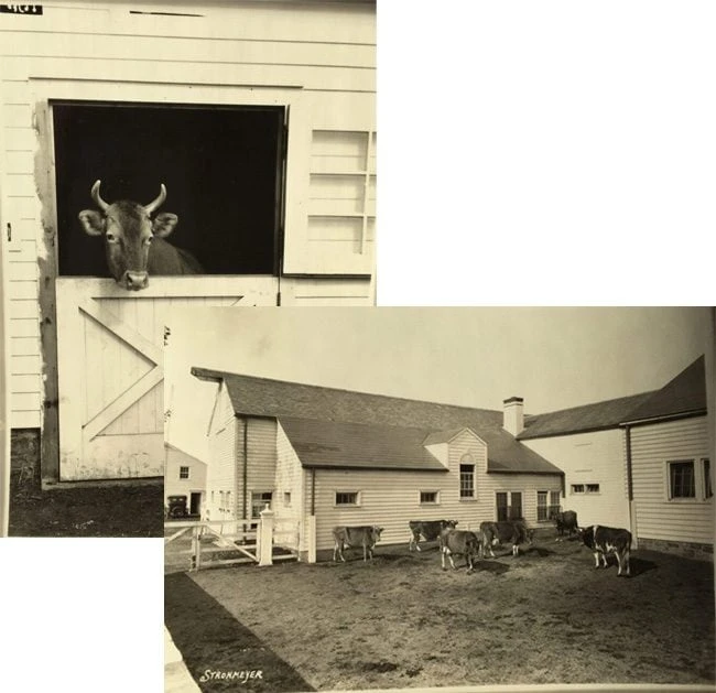 Dunwalke Preserve 2 Dunwalke Preserve 2