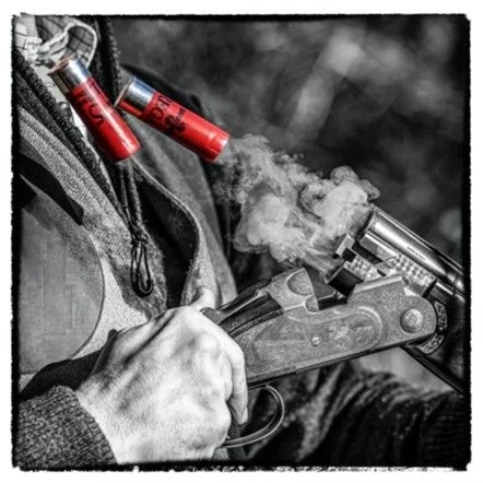 Picture7 Jpg 1677620668