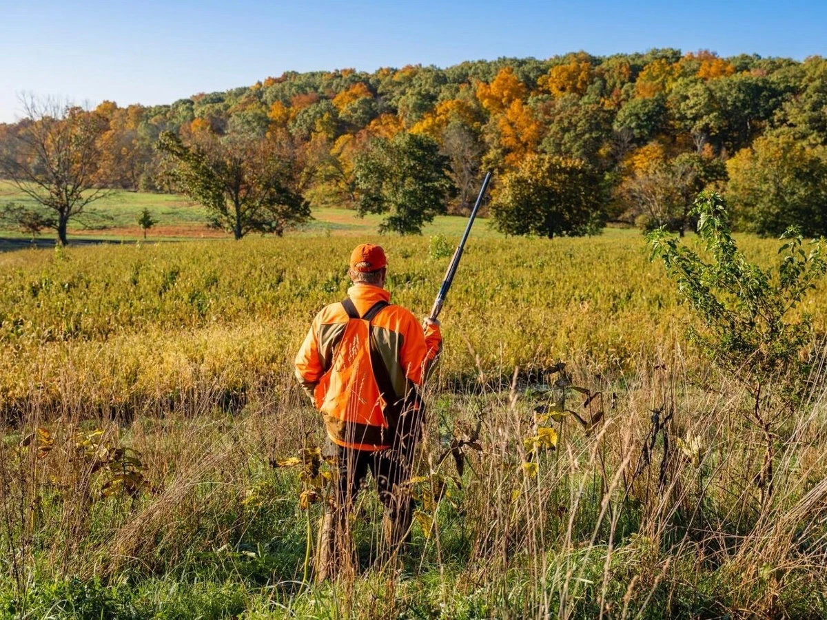 Homepage Farm With Shooter Homepage Farm With Shooter